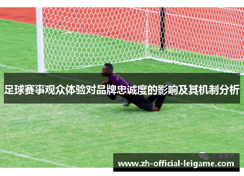 足球赛事观众体验对品牌忠诚度的影响及其机制分析